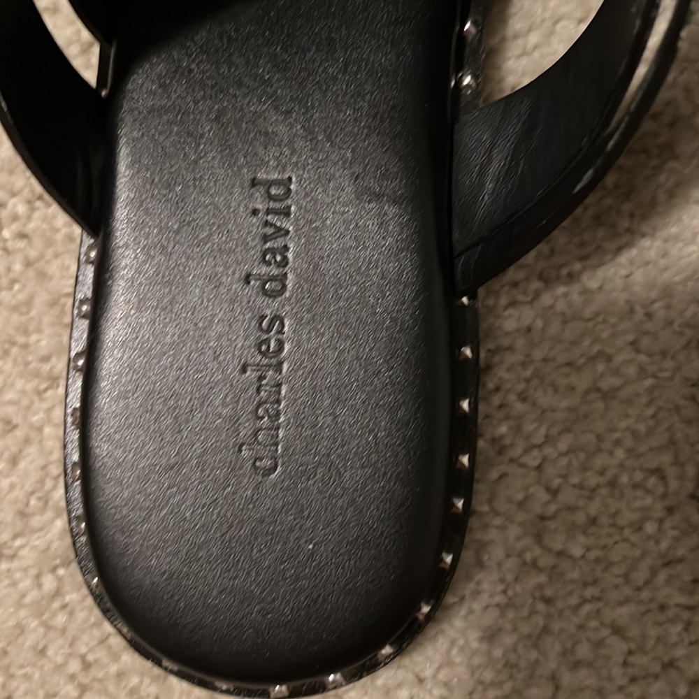 Charles David Source Sandal - Picture 8 of 10